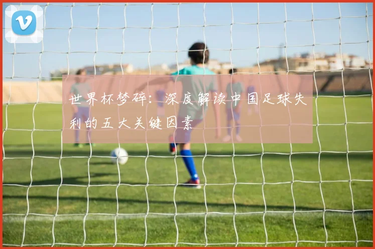 世界杯梦碎：深度解读中国足球失利的五大关键因素