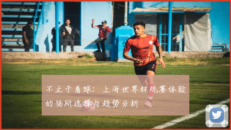 不止于看球:上海世界杯观赛体验的场所选择与趋势分析