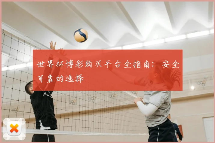 世界杯博彩购买平台全指南：安全可靠的选择